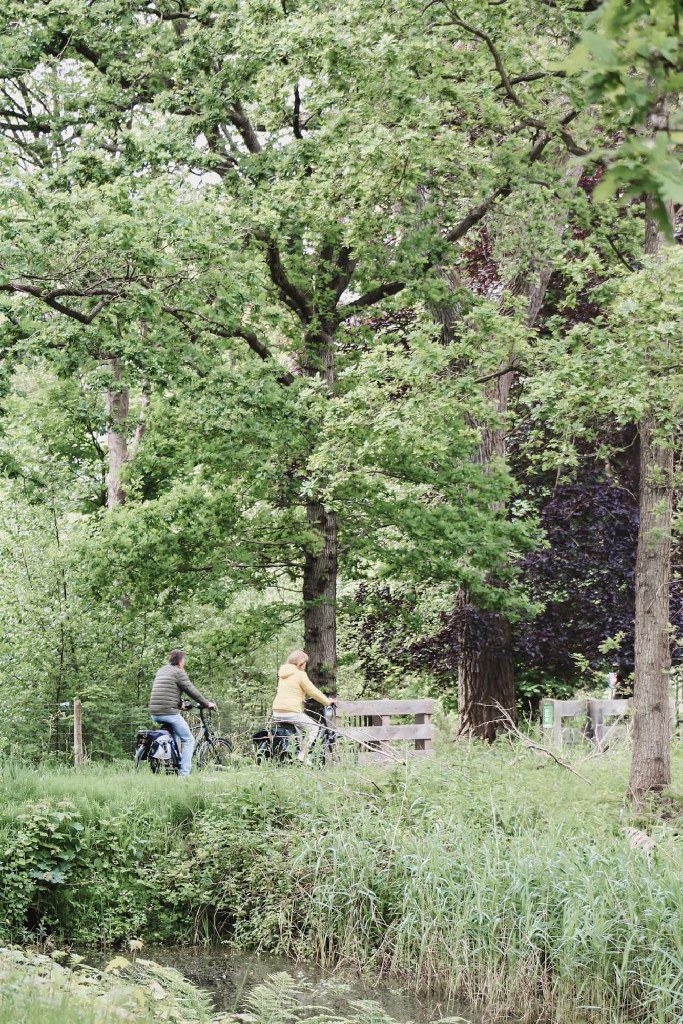 Zoomers Aan Het Bos Кастрикюм Экстерьер фото